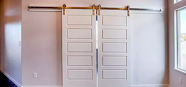 Glass Barn Door with Installation Hardware Kit Hutchinson